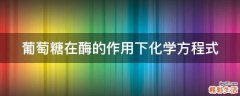 葡萄糖在酶的作用下化学方程式