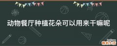 动物餐厅种植花朵可以用来干嘛呢