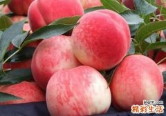 樱桃和桃子能一起吃吗 樱桃一次吃多少合适