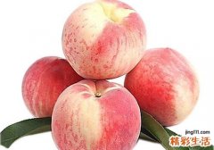 桃子不能和什么一起吃