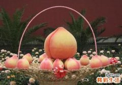 水蜜桃和桃子的区别