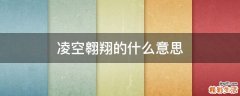 凌空翱翔的什么意思