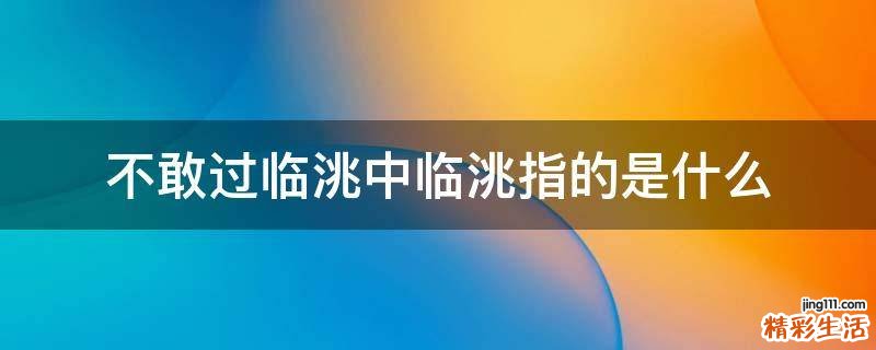 不敢过临洮中临洮指的是什么