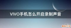 VIVO手机怎么开启录制声音
