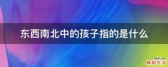 东西南北中的孩子指的是什么