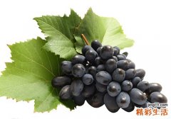 提子的功效与作用