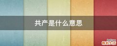 共产是什么意思