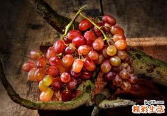 提子太酸怎么办 提子这样吃一点都不酸