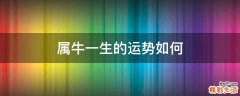 属牛一生的运势如何