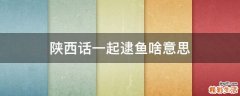 陕西话一起逮鱼啥意思