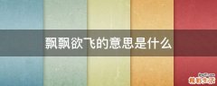 飘飘欲飞的意思是什么