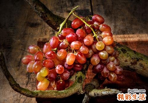 提子皮上面的白色斑点是什么