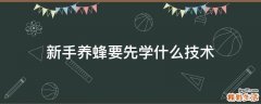 新手养蜂要先学什么技术