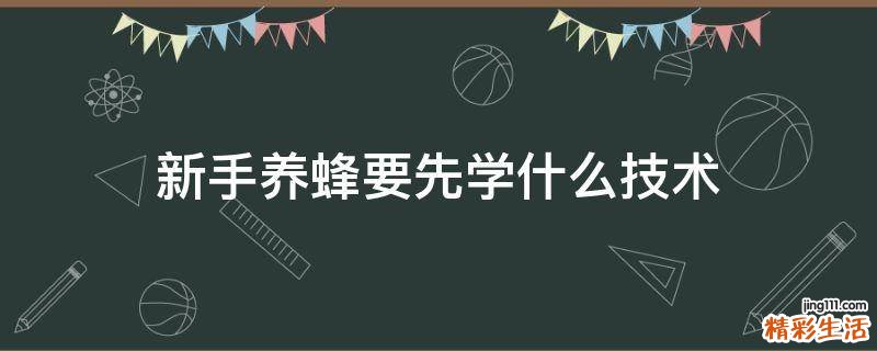 新手养蜂要先学什么技术