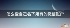 怎么查自己名下所有的微信账户
