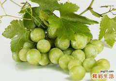 提子变软还能吃吗 提子可以放多久