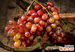 提子放冰箱怎么保存 提子放冰箱是冷藏还是冷冻