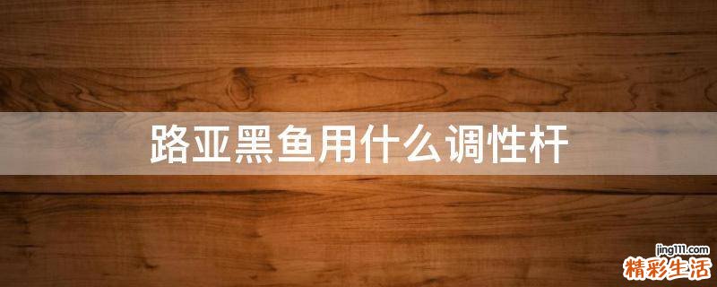 路亚黑鱼用什么调性杆