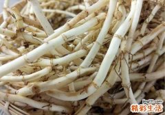 鱼腥草雪梨冰糖的功效 润肺止咳、利尿消炎还不吃起来！