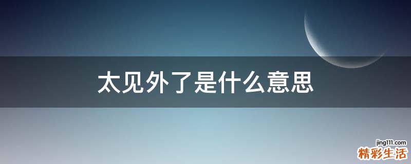 太见外了是什么意思