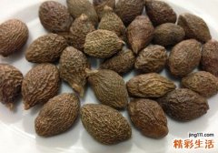 胖大海雪梨茶的功效 胖大海雪梨茶怎么做