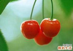 樱桃吃多了会怎么样
