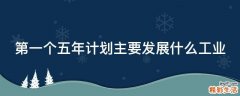 第一个五年计划主要发展什么工业