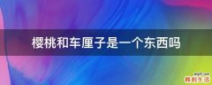 樱桃和车厘子是一个东西吗