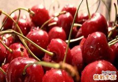 经期能吃樱桃吗
