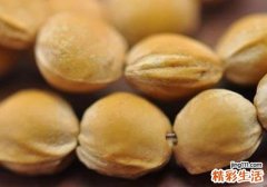 樱桃核的功效与作用