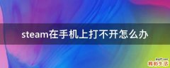 steam在手机上打不开怎么办