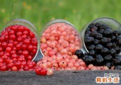 樱桃放冰箱可以放多久 如何清洗樱桃