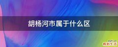 胡杨河市属于什么区