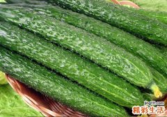 樱桃不能和什么一起吃