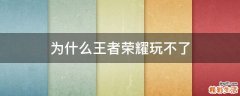 为什么王者荣耀玩不了