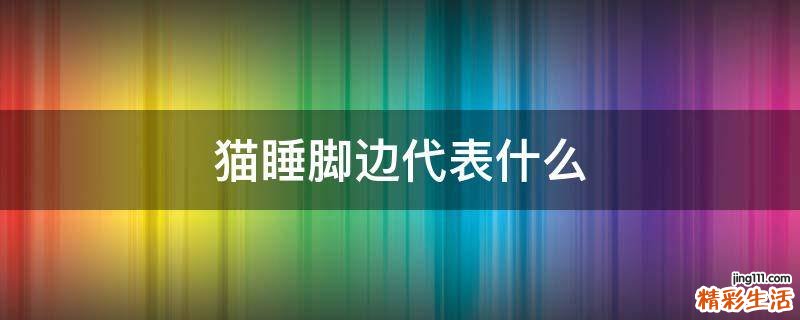 猫睡脚边代表什么