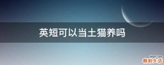 英短可以当土猫养吗