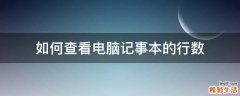如何查看电脑记事本的行数