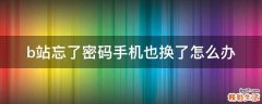 b站忘了密码手机也换了怎么办