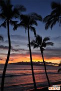 老年人风湿吃什么钙好