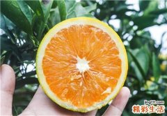吃橙子会胖吗 橙子一天吃几个比较好