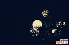 美容护肤六水果 让你水水嫩嫩过炎夏