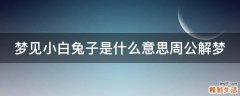 梦见小白兔子是什么意思周公解梦