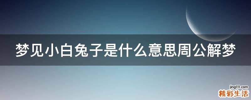 梦见小白兔子是什么意思周公解梦
