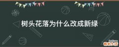 树头花落为什么改成新绿