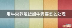 用牛粪养殖蚯蚓牛粪要怎么处理
