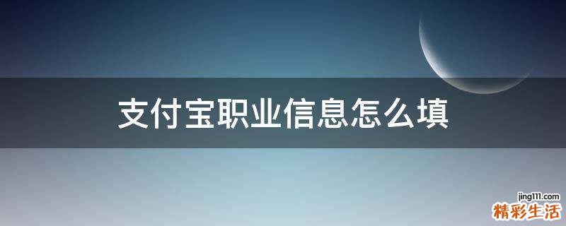 支付宝职业信息怎么填