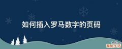 如何插入罗马数字的页码