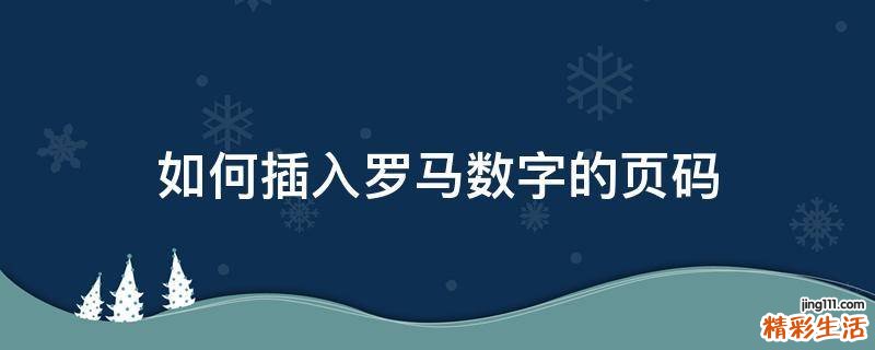 如何插入罗马数字的页码