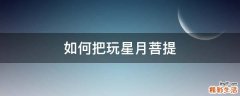 如何把玩星月菩提